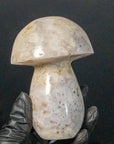 Ágata Pulida en Forma de Hongo | Figura Mineral Coleccionable