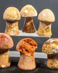 Ágata Pulida en Forma de Hongo | Mineral de Colección