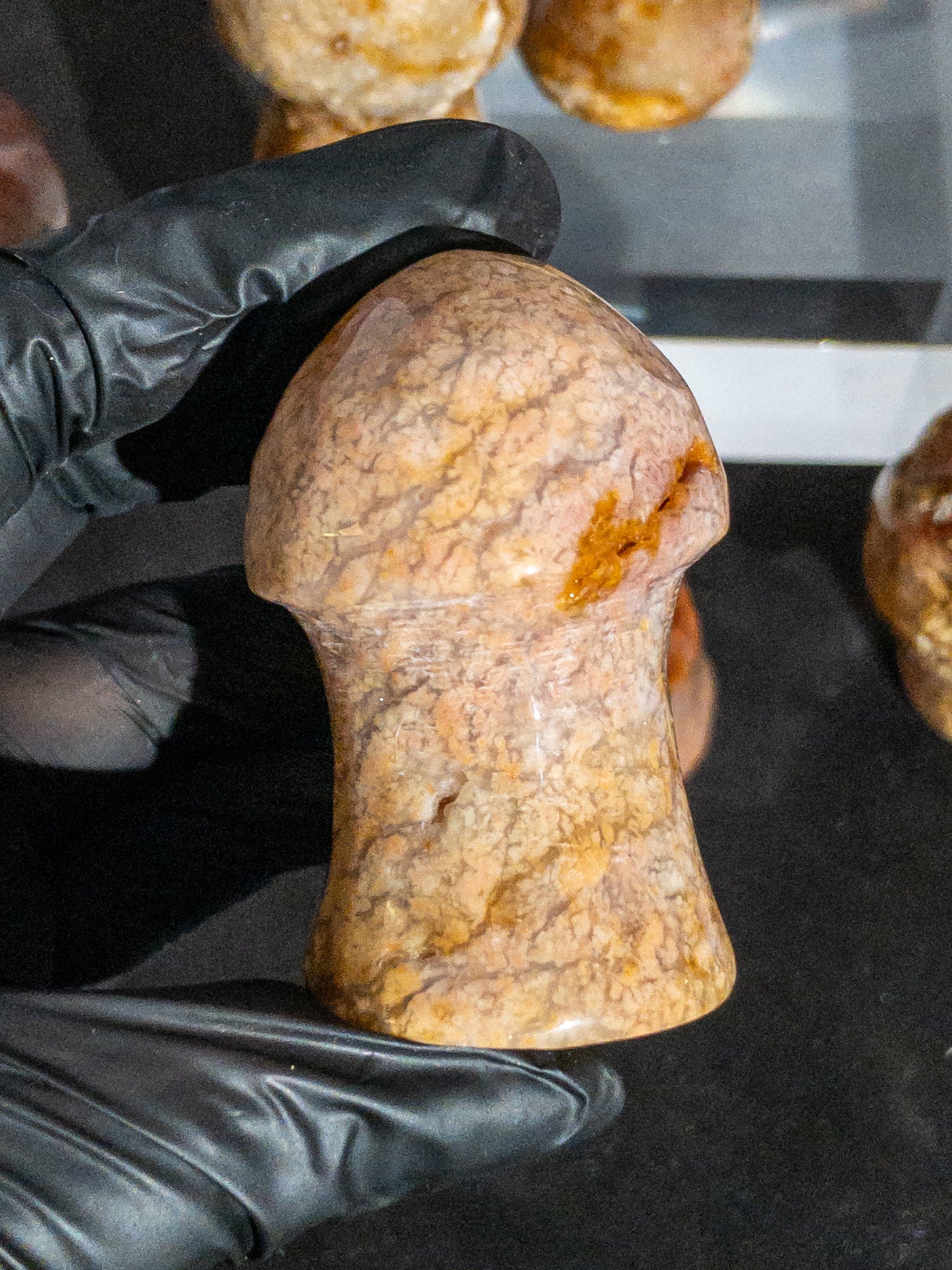Ágata Pulida en Forma de Hongo | Mineral de Colección