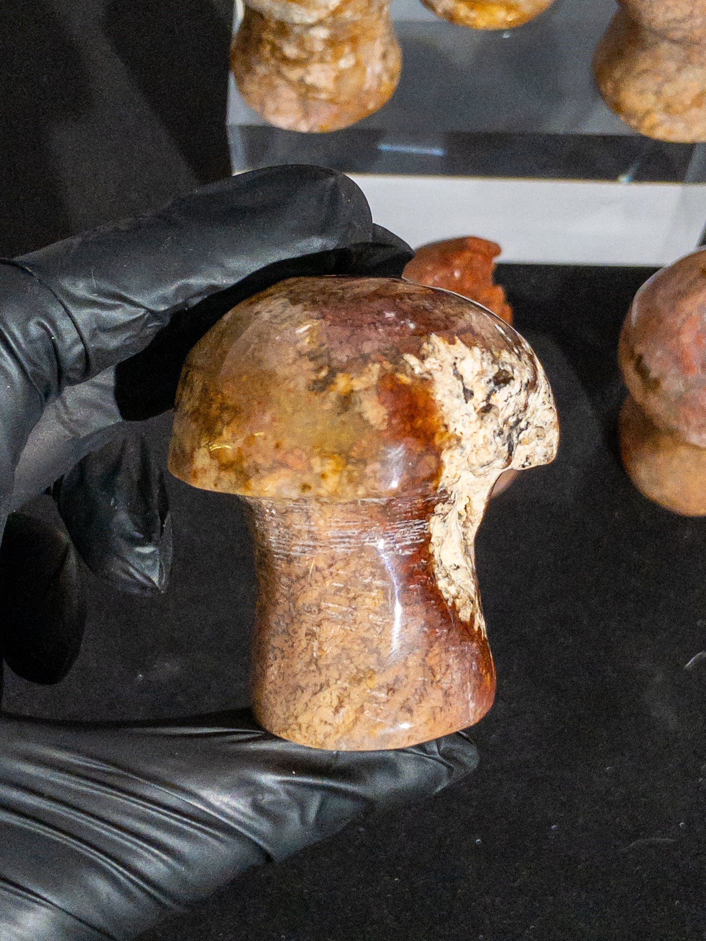 Ágata Pulida en Forma de Hongo | Mineral de Colección