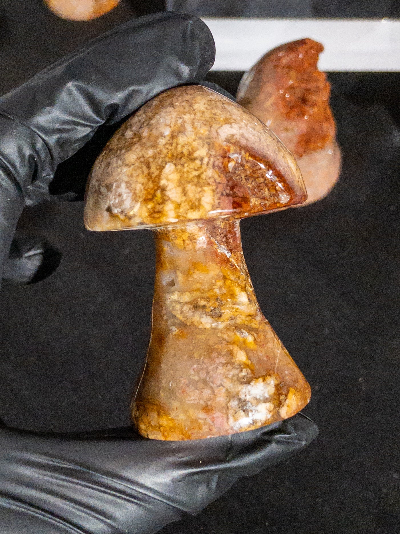 Ágata Pulida en Forma de Hongo | Mineral de Colección