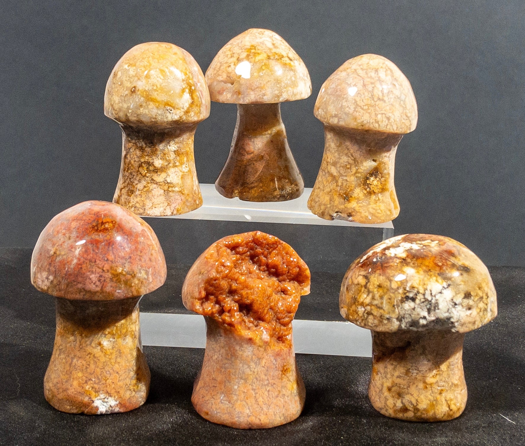 Ágata Pulida en Forma de Hongo | Mineral de Colección