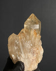 Citrino Kundalini 