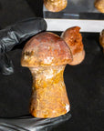 Ágata Pulida en Forma de Hongo | Mineral de Colección