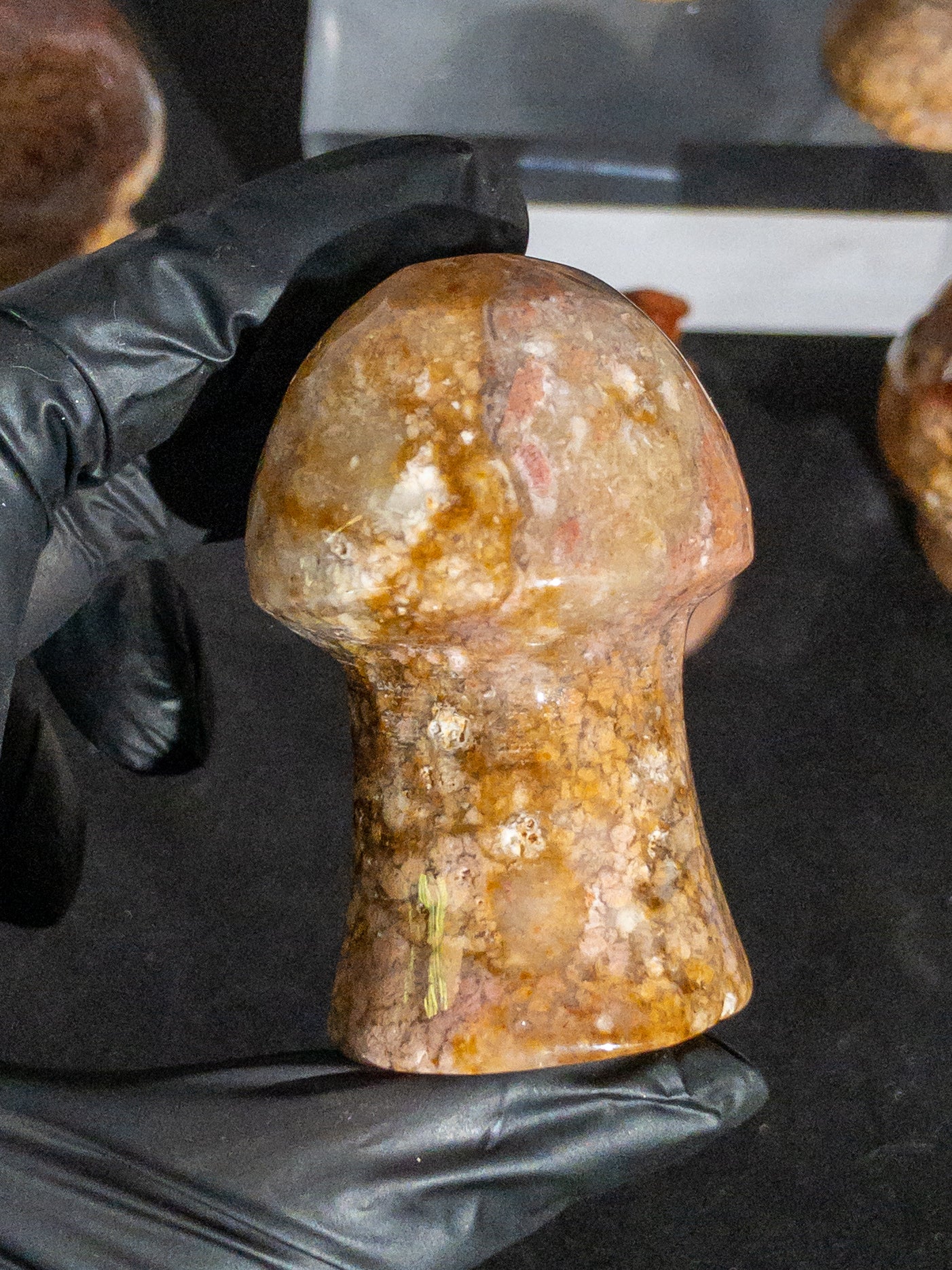 Ágata Pulida en Forma de Hongo | Mineral de Colección