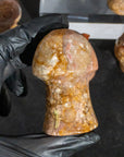 Ágata Pulida en Forma de Hongo | Mineral de Colección