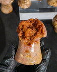 Ágata Pulida en Forma de Hongo | Mineral de Colección