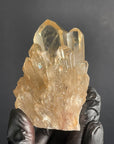 Citrino Kundalini 