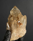 Citrino Kundalini 
