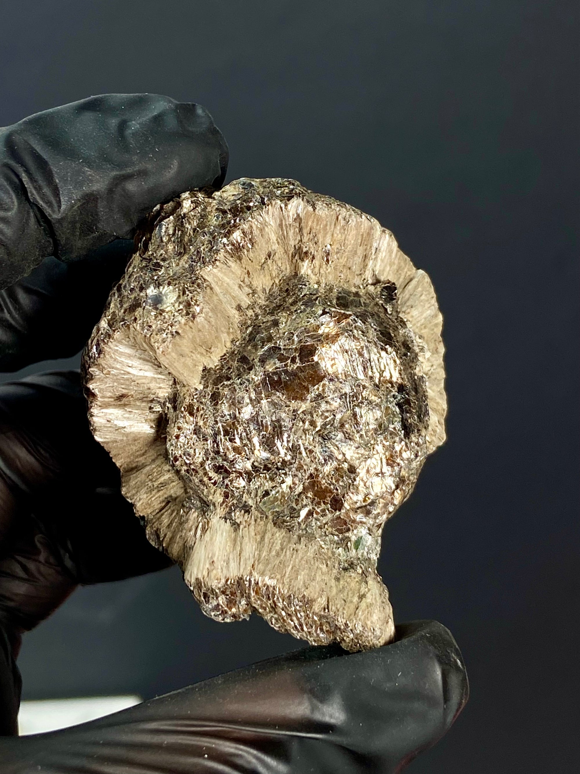 Esfera de Hermanov (flogopita con antofilita) #1