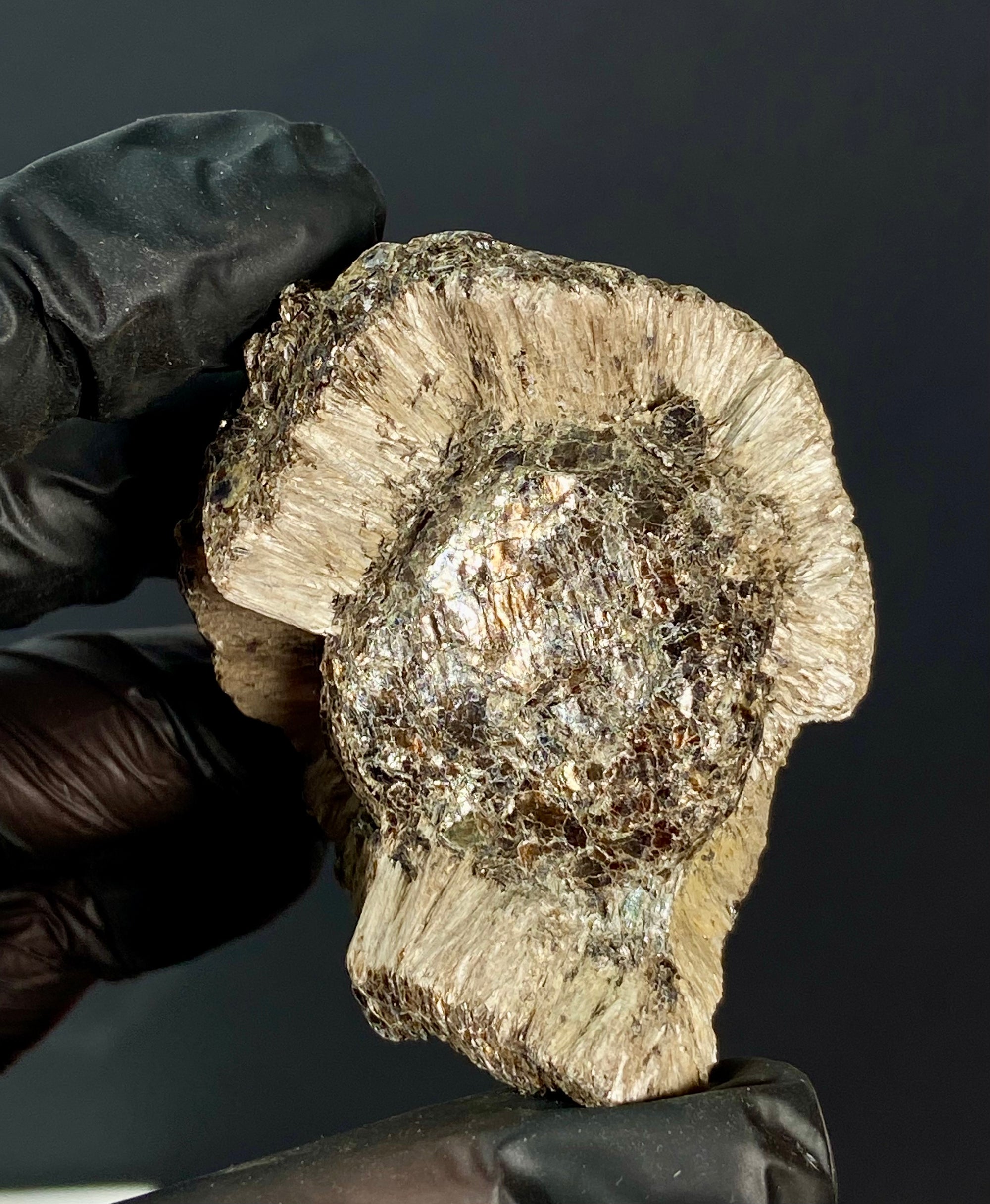 Esfera de Hermanov (flogopita con antofilita)