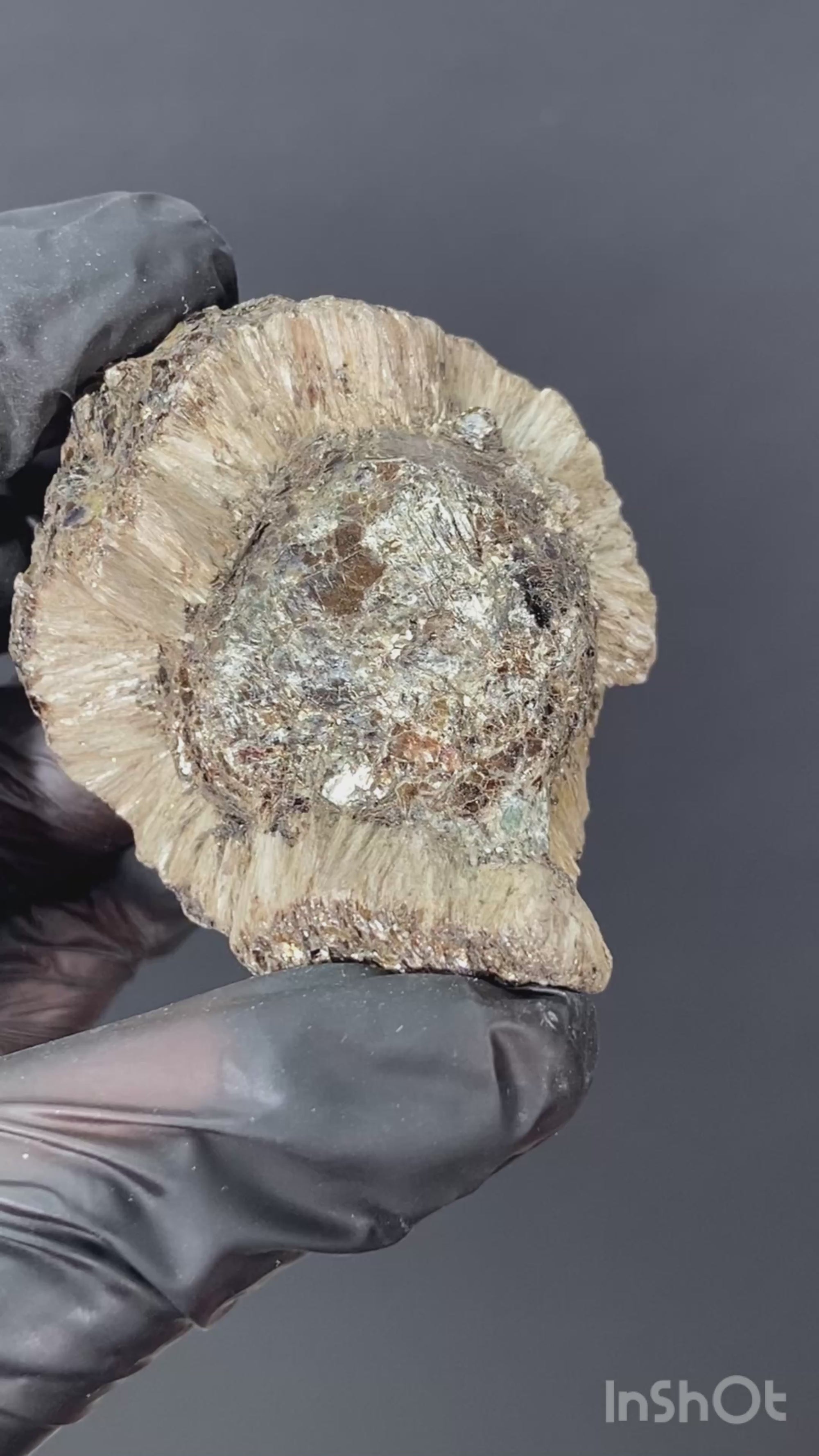 Esfera de Hermanov (flogopita con antofilita) #1