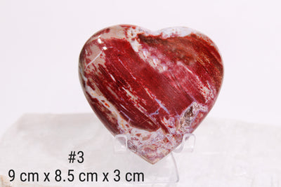 Madera Petrificada